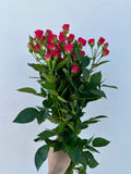300 Hot Pink Spray Roses