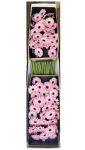 300 Pink Mini Gerbera Daisies